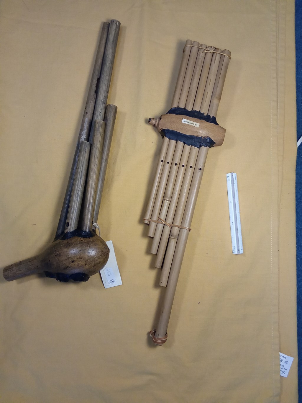 Órganos de boca
